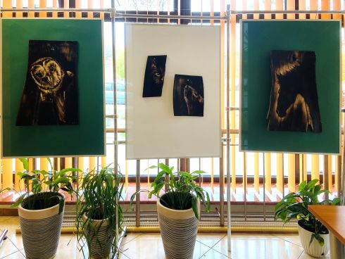 Literackie i przyrodnicze podróże w pirografiach Natalii Poliszuk-Batorskiej