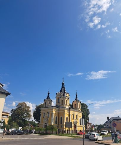 Między książką a drzewem w krzemieniu zaklętym