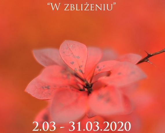 image_001_big