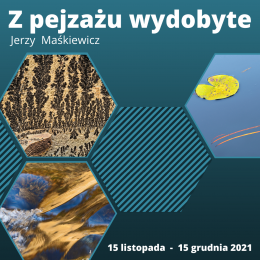 z pejażu wydobyte - plakat