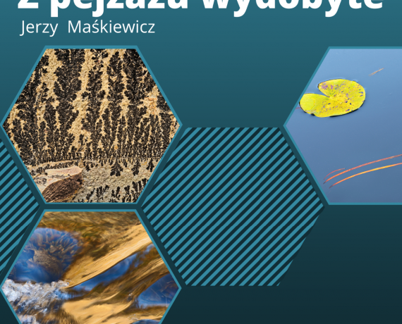 z pejażu wydobyte - plakat