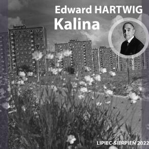 Czarno-białe zdjecie osiedla i w rogu mały portret Hartwiga