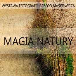 Plakat wystawy z fotografią zagajnika na polu