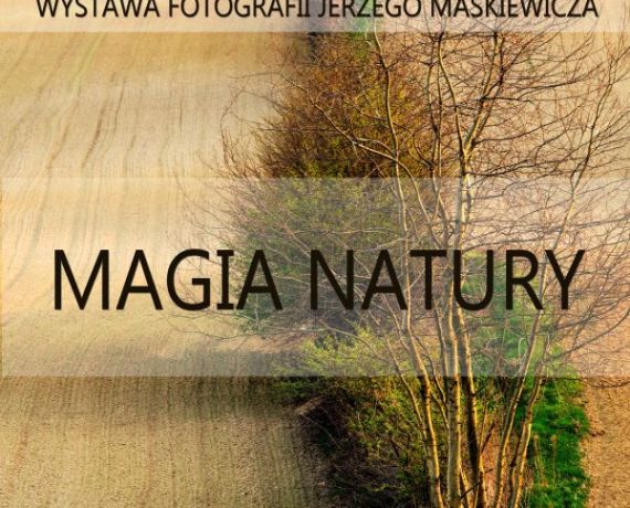 Plakat wystawy z fotografią zagajnika na polu