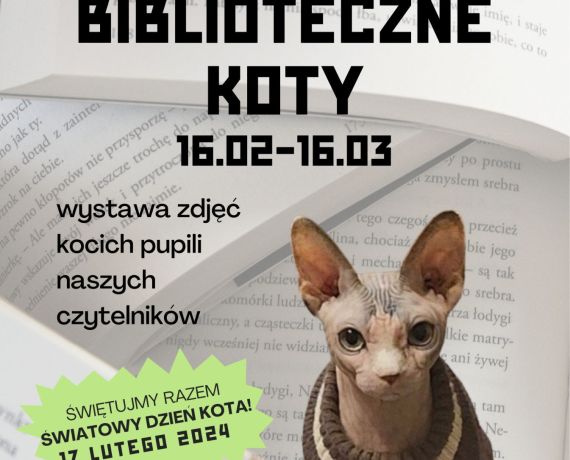 17 lutego światowy dzień kota